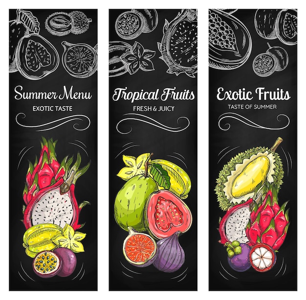 Vector banners de dibujo de pizarra de frutas tropicales