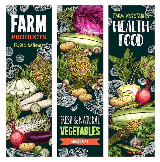 Banners de dibujo vectorial de vegetales de granja naturales