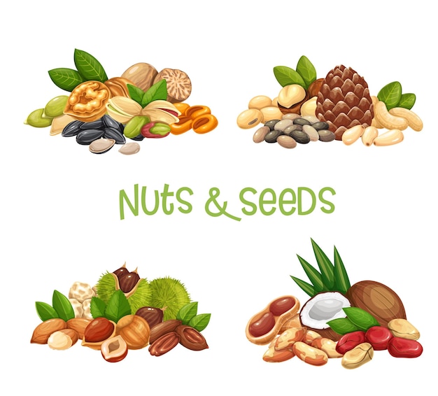 Vector banners de nueces, semillas y granos