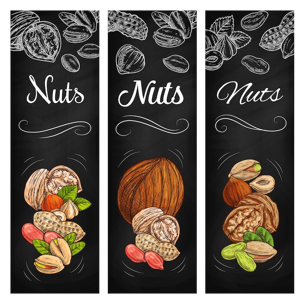 Vector banners de pizarra de bosquejo de nueces y legumbres