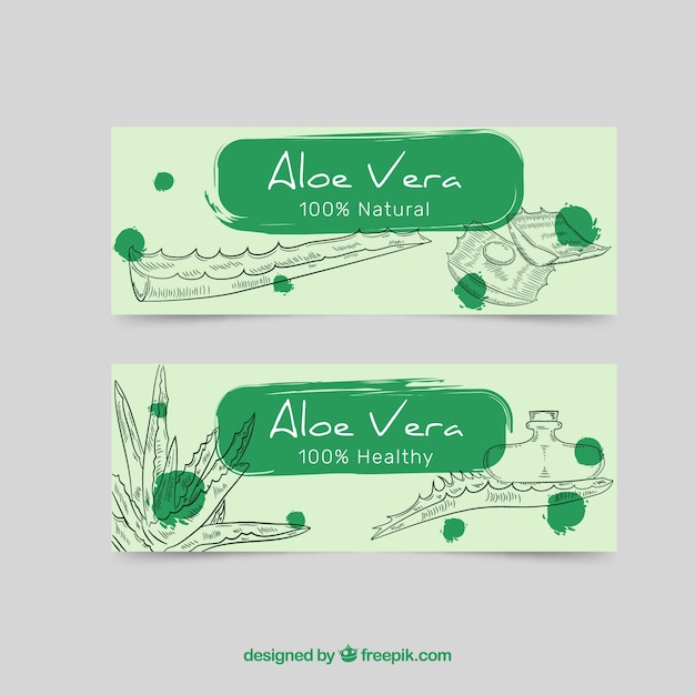 Banners verdes de aloe vera dibujados a mano