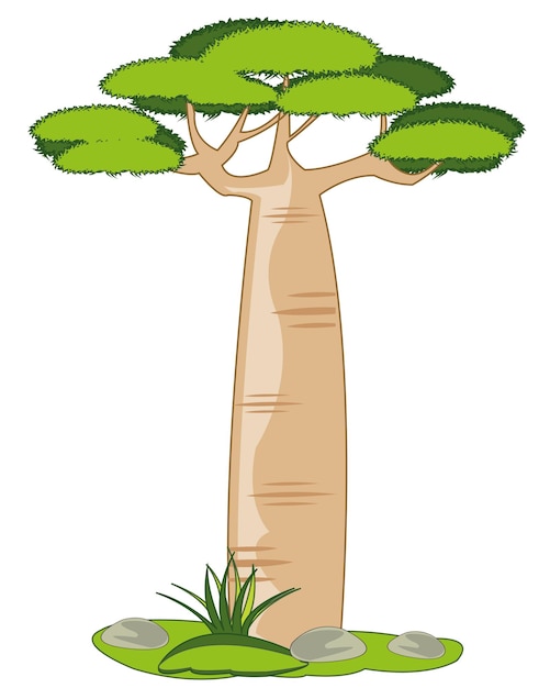 Baobab de árbol africano exótico alto de ilustración vectorial