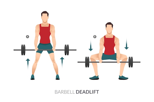 Vector barbell deadlift, men gym entrenamiento fitness, aerobic y ejercicios.