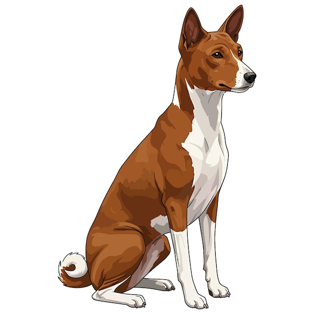 A Basenji dog sitting with a curious expression in a cartoon style