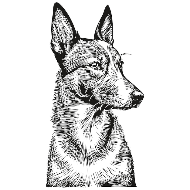 Basenji perro realista mascota ilustración mano dibujo cara blanco y negro vector realista raza mascota