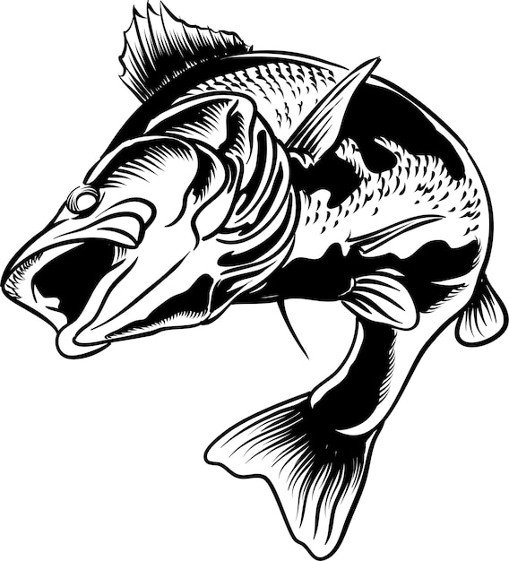 Bass Fish en ilustración en blanco y negro