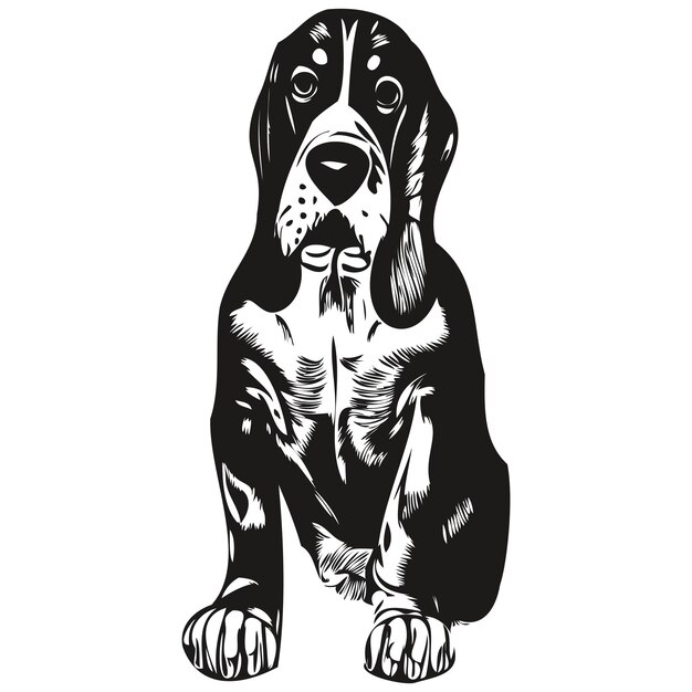 Basset Hound perro dibujado a mano ilustración blanco y negro vector mascotas logo línea arte