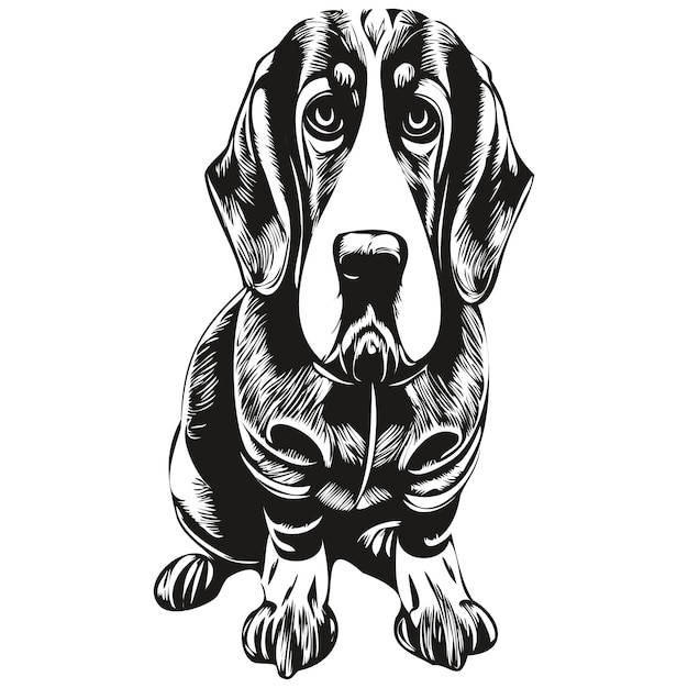 Basset Hound perro dibujado a mano ilustración blanco y negro vector mascotas logo línea arte