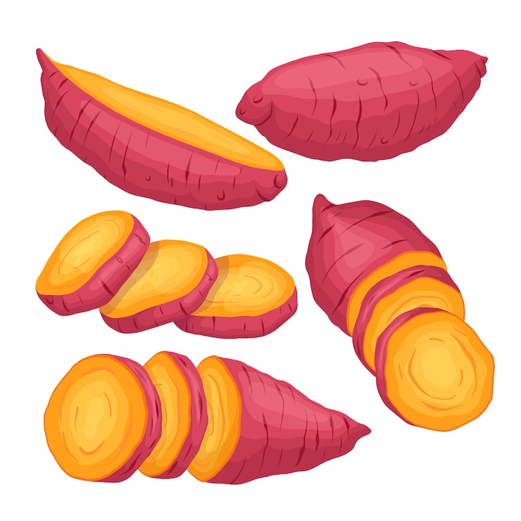 Vector batata naranja conjunto ilustración vectorial de dibujos animados