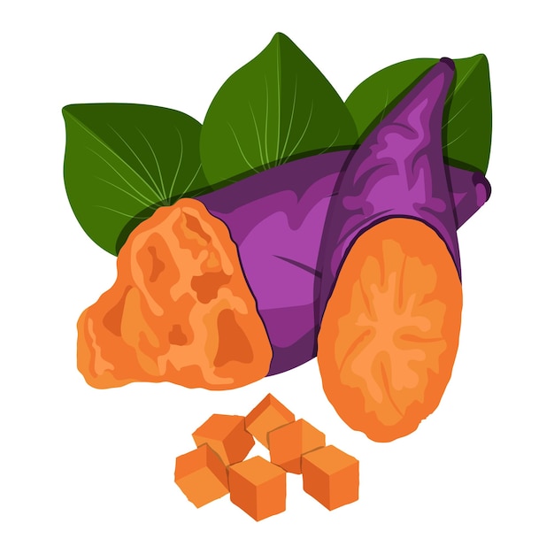 Vector batata vector clip art elemento mandioca ubi jalar