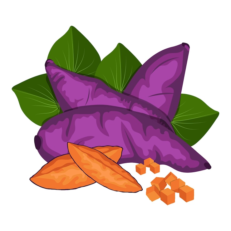 Vector batata vector clip art elemento mandioca ubi jalar