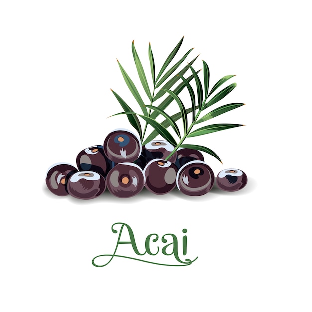 Bayas de acai para lables