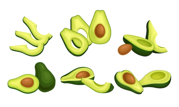 Bayas de aguacate de color verde brillante entero y dividido en dos con un conjunto de vectores de semillas grandes