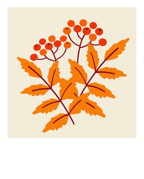 Bayas de color naranja brillante y hojas de otoño ilustradas contra un fondo claro en un moderno