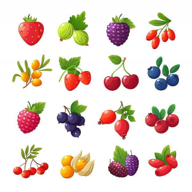Vector bayas de dibujos animados fresas, frambuesas, cerezas, grosellas, arándanos, arándanos conjunto aislado en blanco