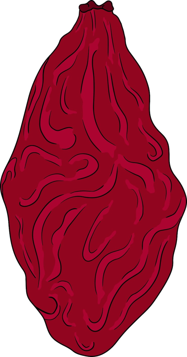 Vector bayas de goji dibujadas a mano ilustración vectorial a color aislada en fondo blanco bayas superfood