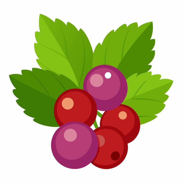 Vector bayas de grosella para juegos de rpg ilustración vectorial de arte