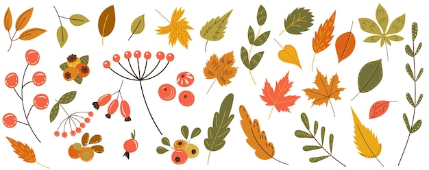 Bayas de hojas de otoño en vector de estilo doodle