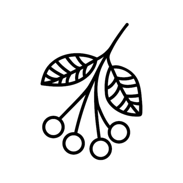 Bayas de invierno dibujadas a mano con hojas vector doodle ilustración