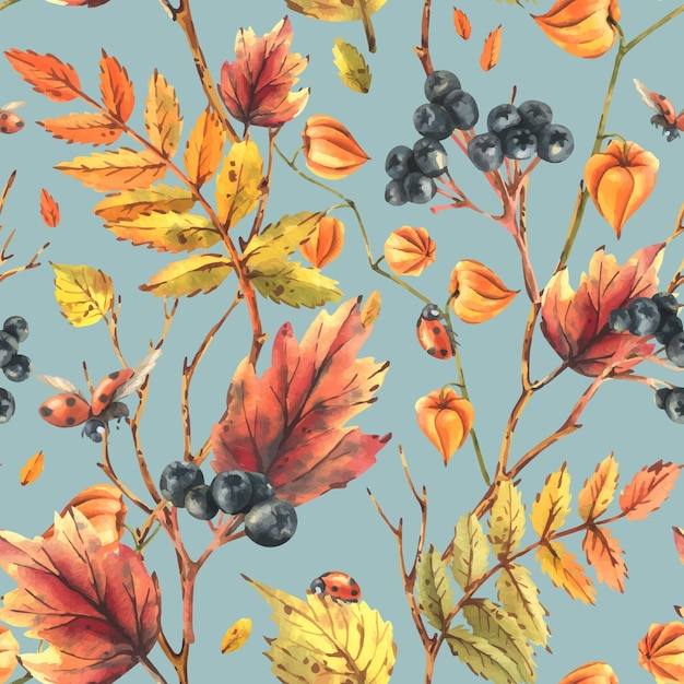 Bayas de otoño physalis chokeberry rowan hojas de arce ramas de abedul y mariquitas acuarela