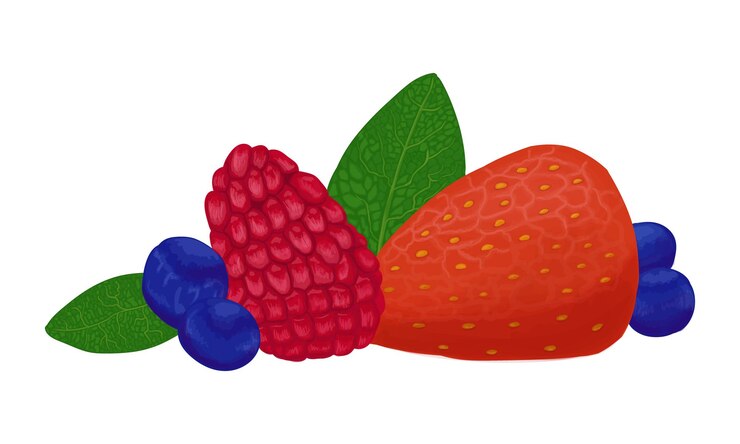 Vector bayas de verano arándanos frambuesas fresas con hojas de menta doodle dibujos animados lineales