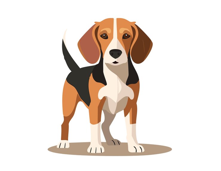 Vector beagle