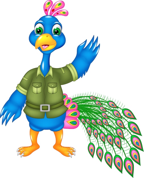 Vector beatifull pavo real