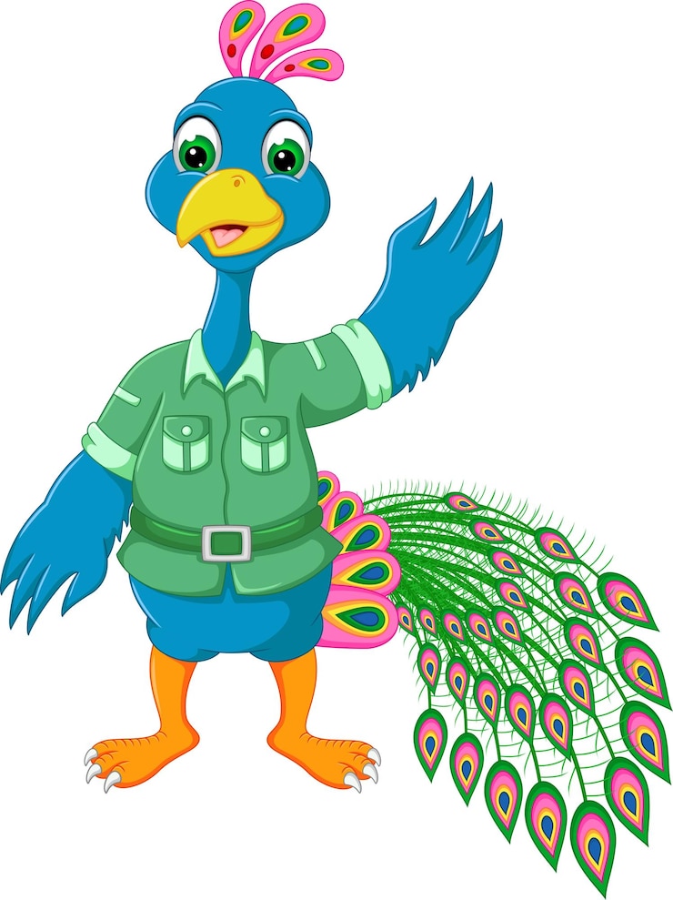 Vector beatifull pavo real