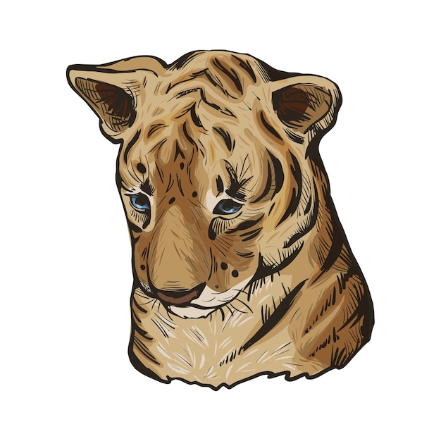 Vector bebé tigre, retrato de dibujo aislado de animales exóticos. ilustración dibujada a mano.