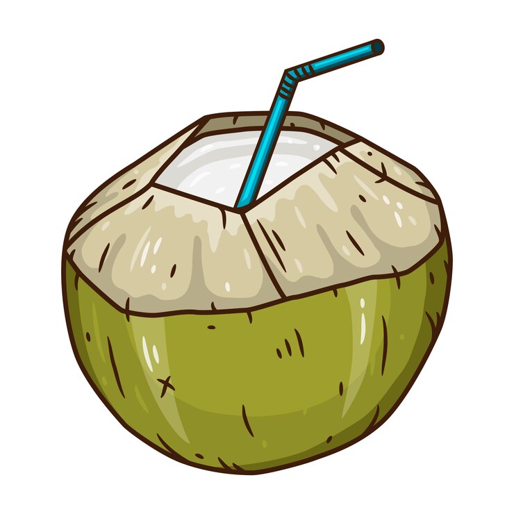 Vector bebida de agua de coco. verde fresco bebiendo coco aislado