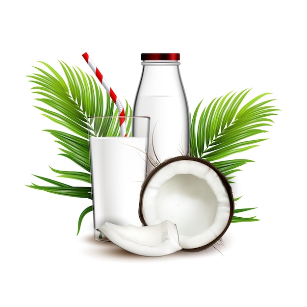 Bebida Natural De Leche De Coco Y Vector De Rama De Palma. Bebida láctea de coco fresco, nuez estrellada, hojas verdes y botella de vidrio. Ilustración 3d realista de plantilla de producto de bebida de coco