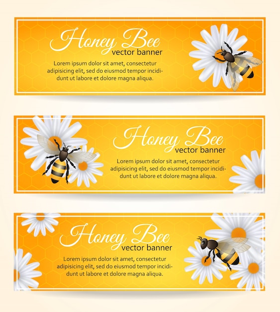 Vector bee banners conjunto