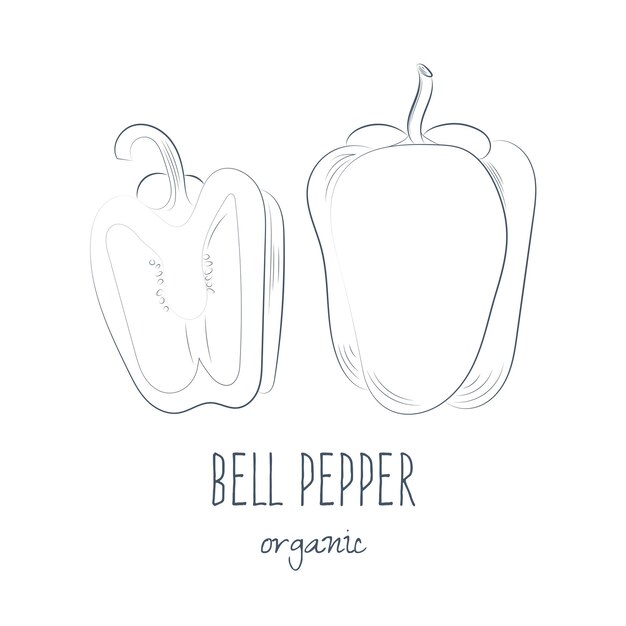 Bell_pepper_handdrawn_sign