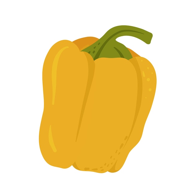 Bell pepper with green stem Fresh vegetable healthy food designs cooking ingredients vegetarian