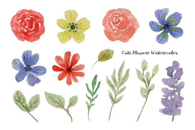 Bella colección de acuarelas de flores y hojas