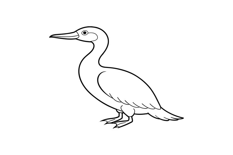 Vector bella ilustración vectorial de la línea de arte del pájaro cormorán