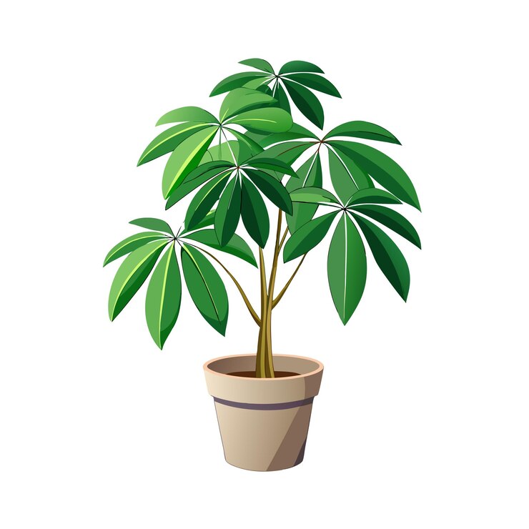Vector bella ilustración vectorial realista de un árbol de planta de interior aislado sobre un fondo blanco