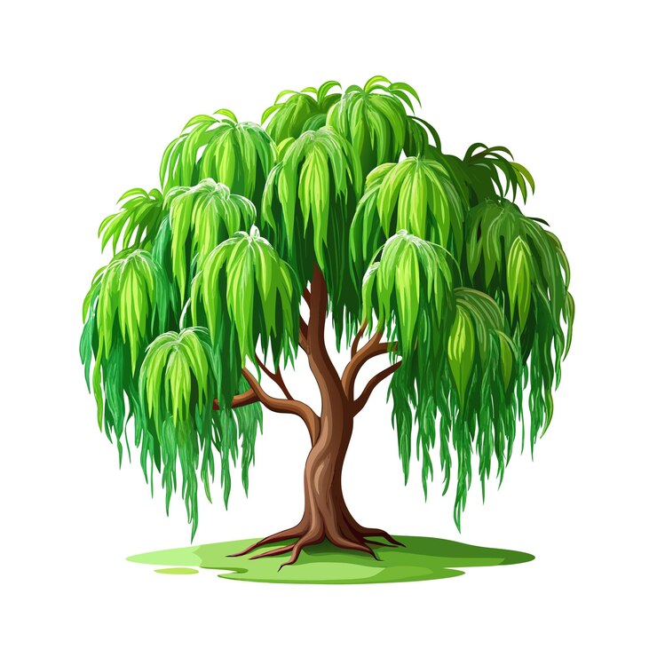 Vector bella ilustración vectorial realista del ícono del árbol aislado en un fondo blanco