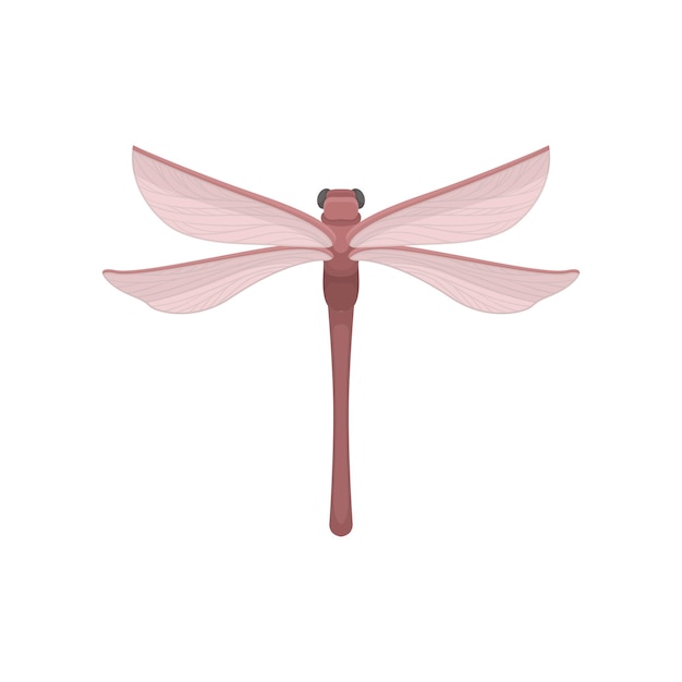 Bella libélula con cuerpo rojo y dos pares de grandes alas transparentes Insecto volador rápido Elemento gráfico colorido para impresión o cartel Icono vectorial en estilo plano aislado sobre fondo blanco