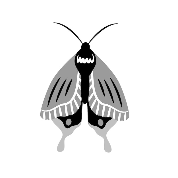 Vector bella mariposa sobre fondo blanco ilustración vectorial en blanco y negro para el diseño