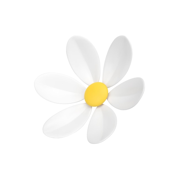 Belleza manzanilla orgánico capullo de flor ecología botánica flor isométrica 3d icono realista vector