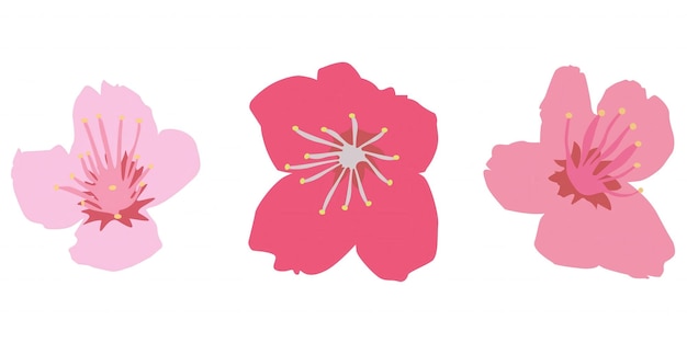 La belleza de la primavera Tres flores de cereza rosadas
