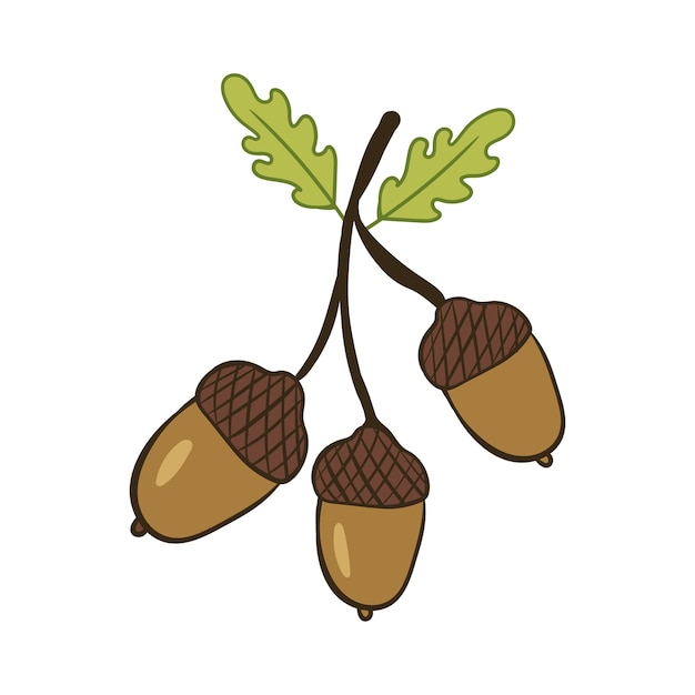 Bellotas en una rama Ilustración vectorial con garabatos sobre el tema del otoño acogedor