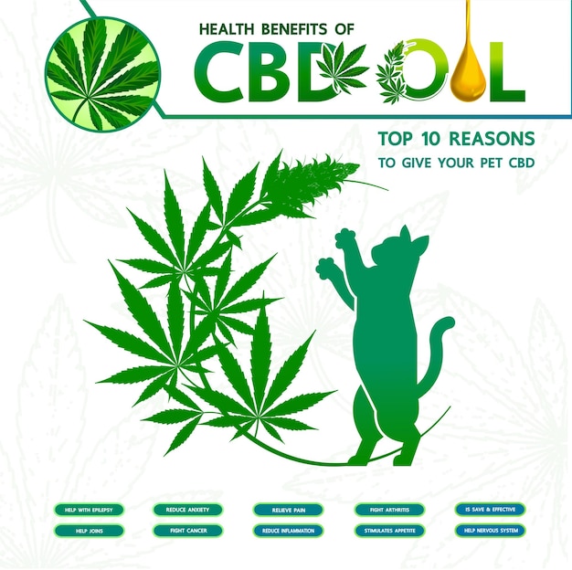 Beneficios del cannabis para la ilustración de vector de salud de mascotas