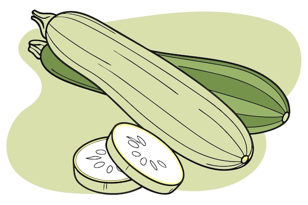 Beneficios para la salud del calabacín Recetas y guía de nutrición