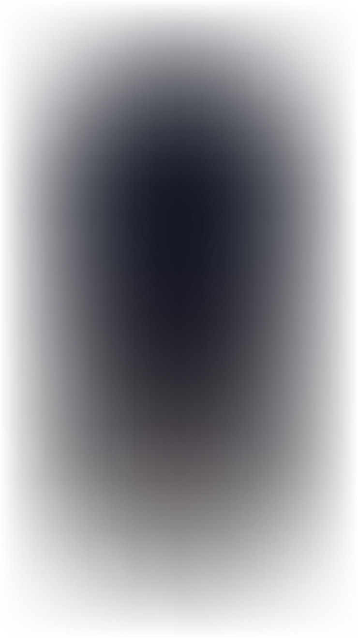 Vector bg_220 (incluido en el anexo)