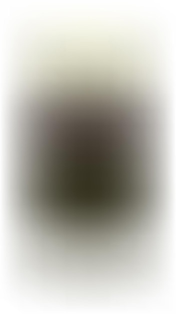 BG_648 (incluido en el anexo)