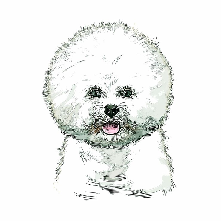 Vector bichon frise perro raza acuarela boceto mano dibuja ilustración pintura