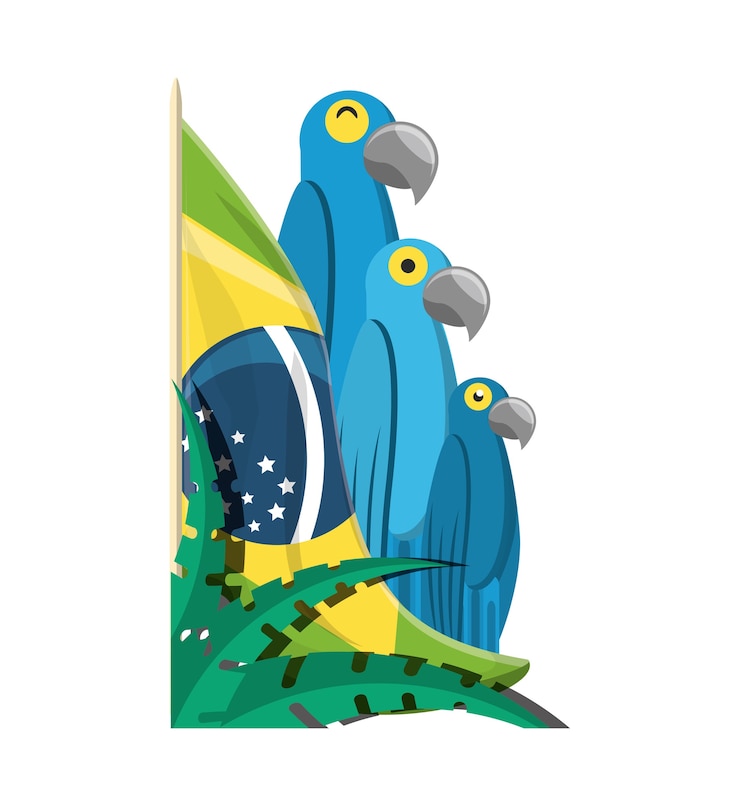 Vector bienvenido a brasil diseño