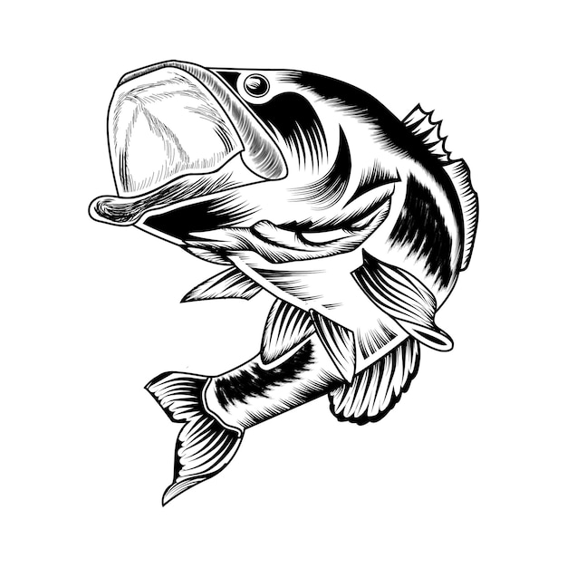 Big-Bass-fish-Jump-water-vector-dibujo